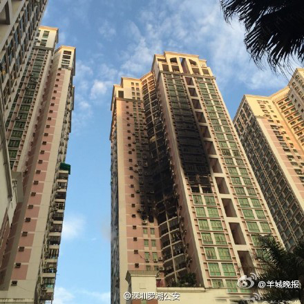 ���ڻ��(z��i)��Ĉ�(ch��ng)��