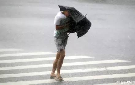 �ό�����