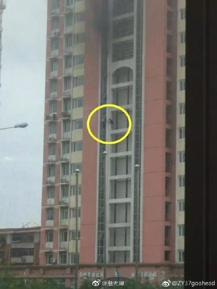 �о������Ͳ���(hu��)�l(f��)��ʮ�Ǿ���^��������������¼��ˣ�