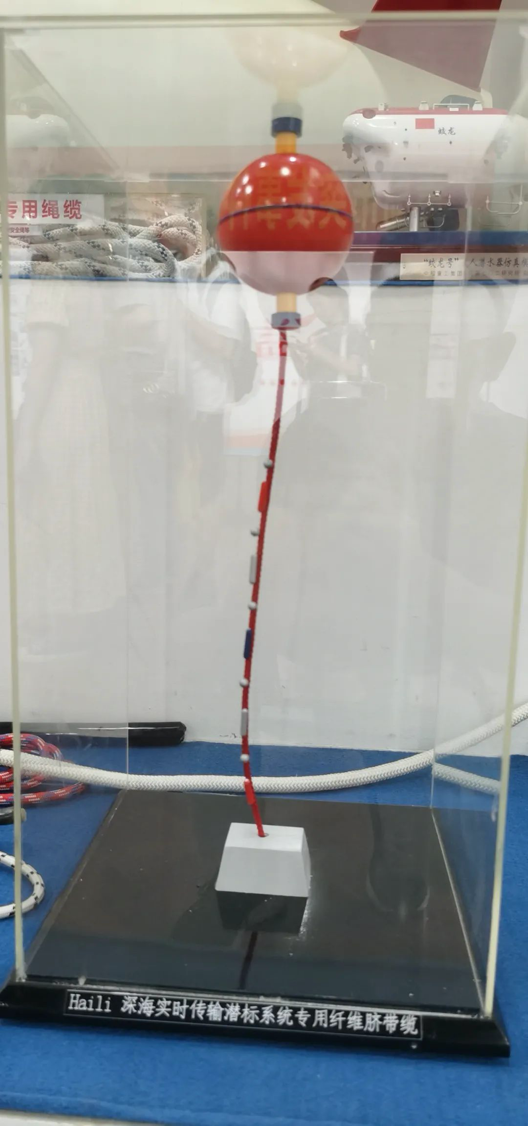 ����r��ݔ����(bi��o)ϵ�y(t��ng)�����w�SĚ���|