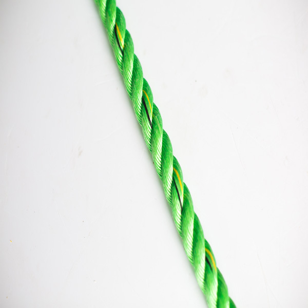 �������|