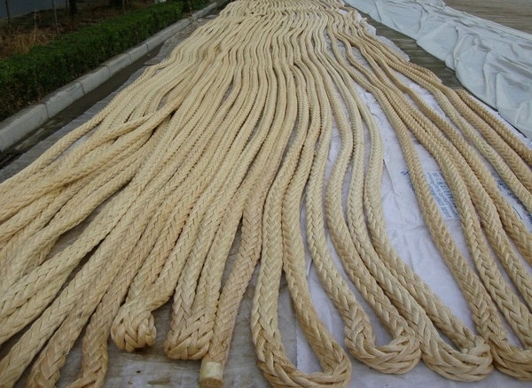 ���߷���������ϩ��UHMWPE�����ߣ����ؽg܇?y��n)K��