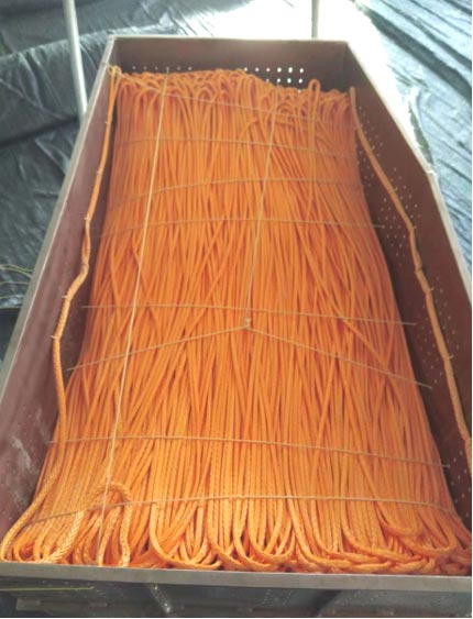 ����?zh��)��طN�K�|