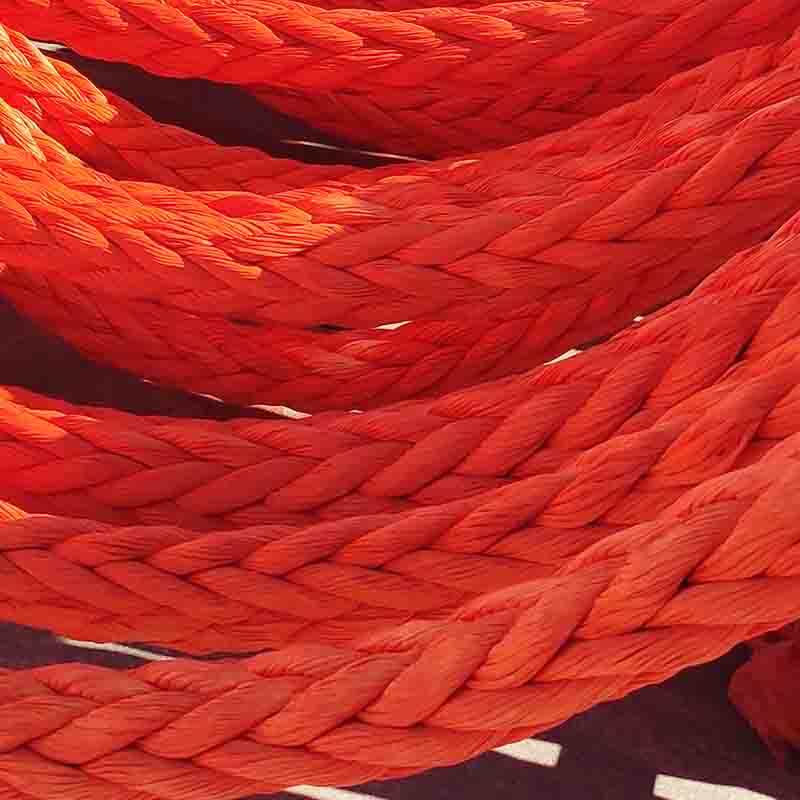 �߷����|�K�ăr(ji��)��