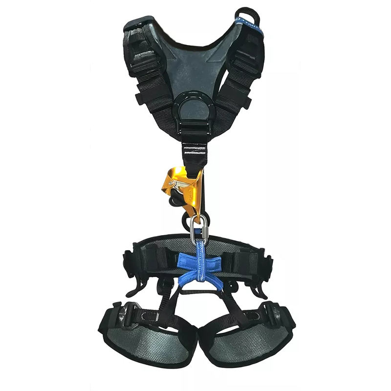 ������ȫ����