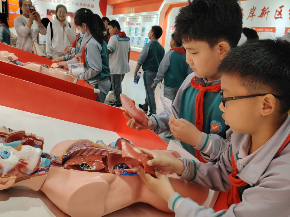 �tʮ�֑�(y��ng)�����o(h��)��Ӗ(x��n)����